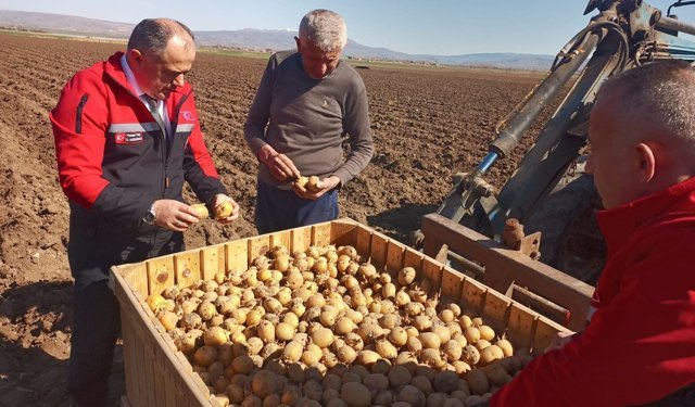 Bozboğa’da hububat  ve patates incelemesi