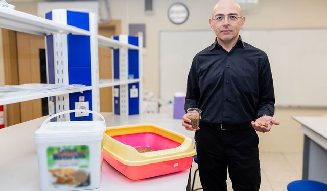 Ceviz kabuğundan  “kedi kumu” üretti