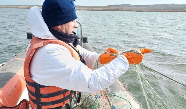 Koçhisar Barajı’nda kaçak su ürünleri avına el konuldu