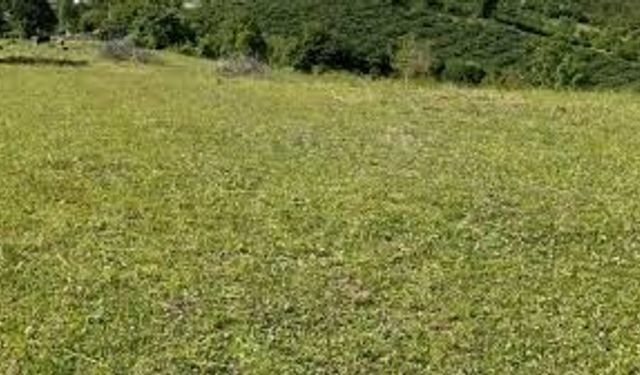 Çorum Çevre, Şehircilik ve İklim Değişikliği İl Müdürlüğü taşınmaz ihalesi