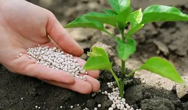 Zirai ilaç tohum ve gübre mal alım ihalesinin iptali