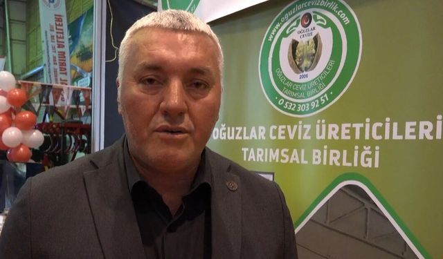 Çorum’da ceviz üreticileri güçleniyor