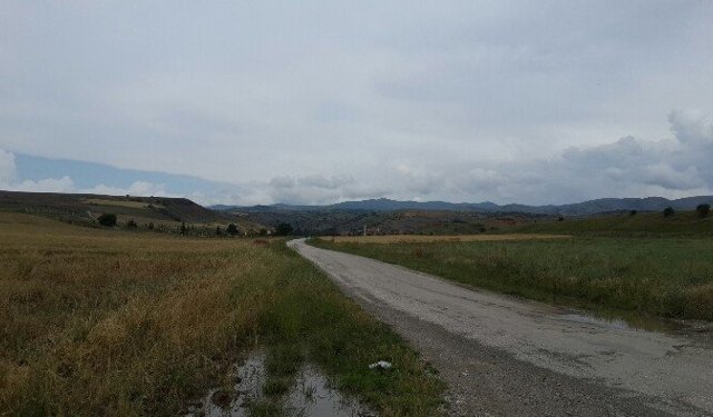 Çorum'da 40 dönümlük arsa satışa çıktı! İşte bedeli