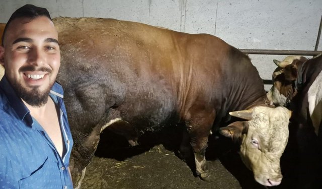 Çorum’da genç üreticiden rekorluk kurbanlık: 1.2 tonluk “Behçet” 385 bin liraya alıcı buldu