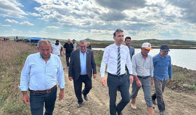 Uğurludağ’da geleneksel çeltik ekimi