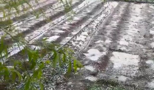 Dolu hobi bahçelerini vurdu