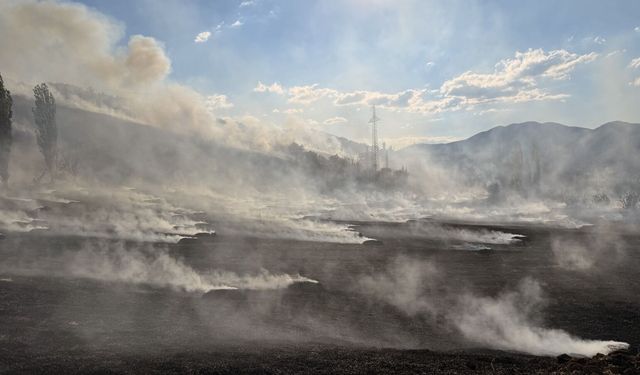 Orman yangını  kontrol altına alındı