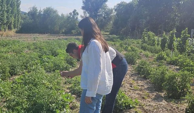 Ortaköy’de tarım  arazileri yakın takipte
