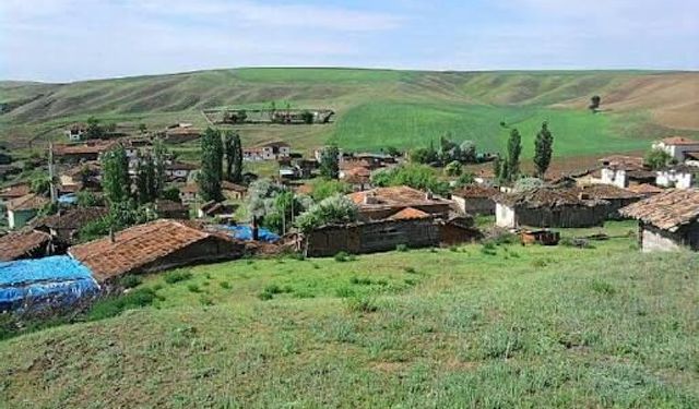 Çorum'da 4 köyde hazine arazileri satışa çıktı! İşte o köyler