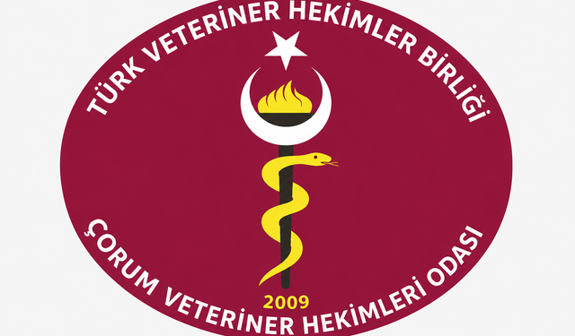 Aşılama sırasında saldırı:   Veteriner hekimlere  şiddete tepki