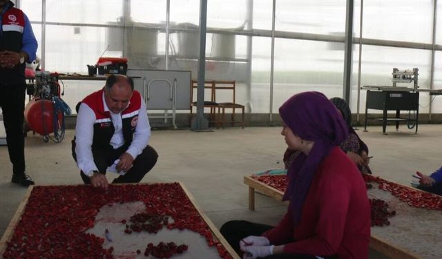 Senede 5 milyon! Çorum'da üretiliyor Türkiye'nin dört bir yanına gidiyor