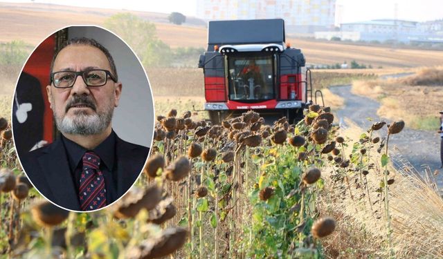 Yağlık ayçiçeği alım fiyatı açıklandı: İşte ton başına fiyatı
