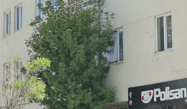 Polisi görünce pencereden atladı!