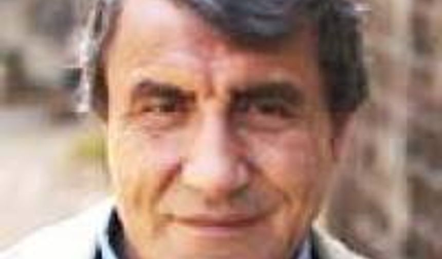 HOROZ DÖĞÜŞLERİ