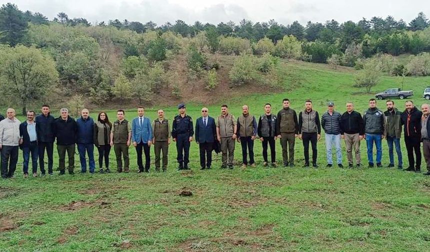 Osmancık’ta 4 kızıl geyik doğaya salındı