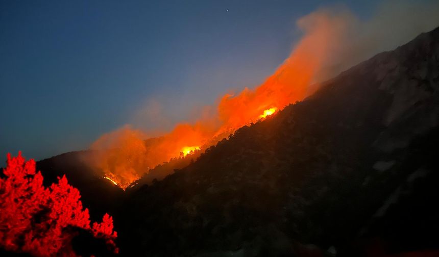 Kargı’daki orman yangınında  30 hektar alan zarar gördü