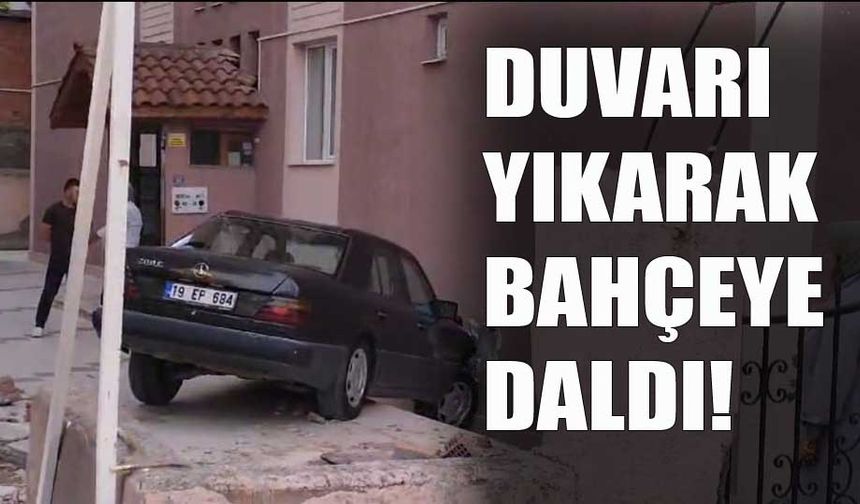 Duvarı yıkarak bahçeye daldı