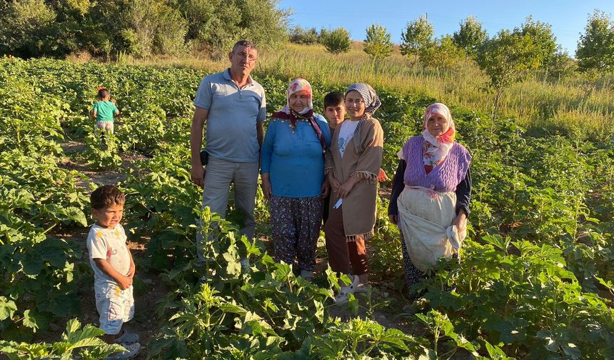 Doğla Köyü çiçek  bamyasında iddialı