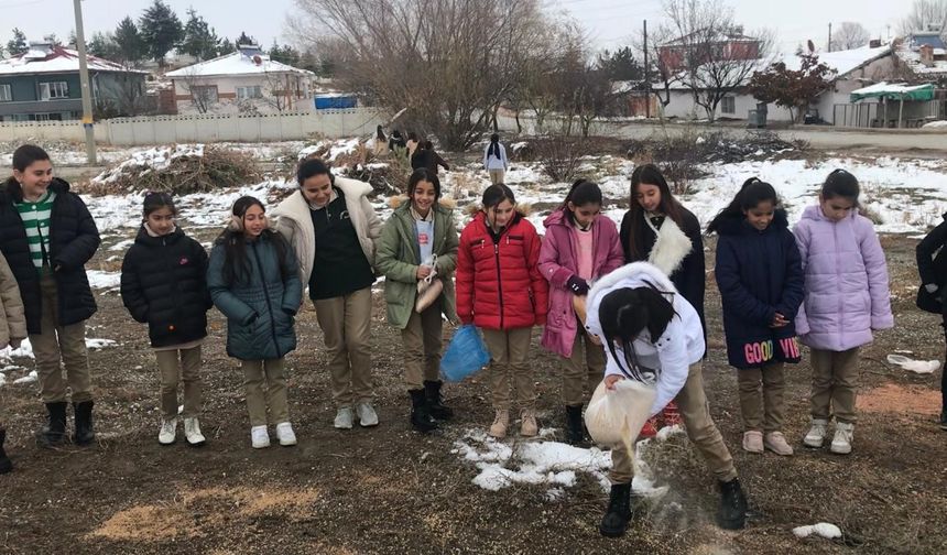 Hayvanlar için doğaya  yiyecek bıraktılar