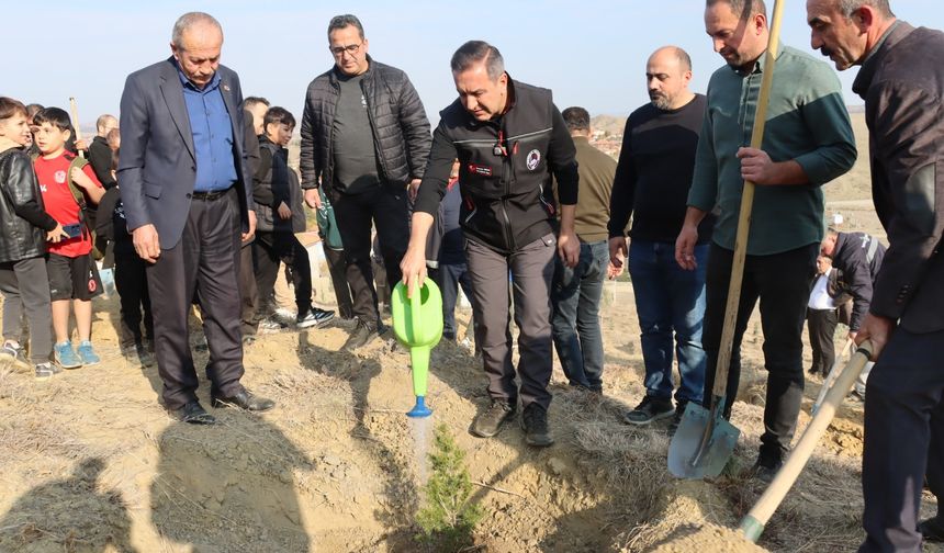 Sungurlu'da fidanlar toprakla buluştu