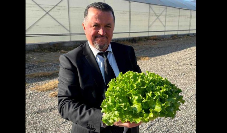 Kargı Belediyesi’ne ait  seralarda hasat başladı