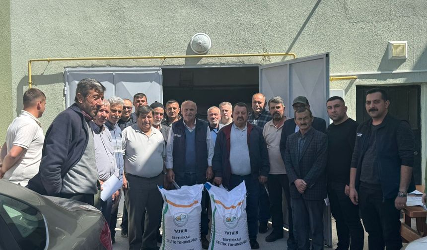 Kargı'da çeltik üreticilerine yüzde  50 hibe destekli yerli tohum dağıtıldı