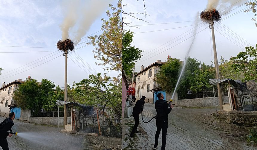 Leylek yuvası yangında  kullanılamaz hale geldi