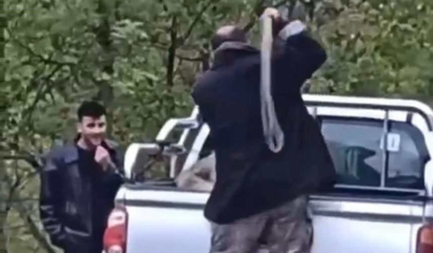 Köpeğe halatla şiddet