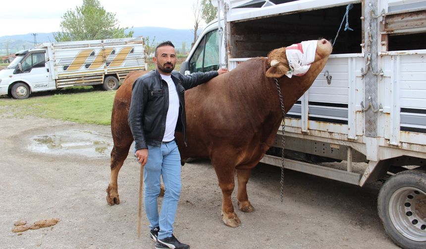 Paşa'nın fiyatı dudak uçuklattı