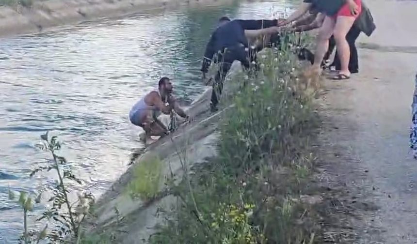 Aracı kanala devrilen  sürücü yardımı reddetti