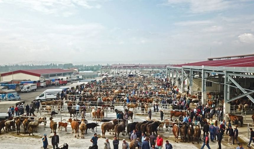 Çorum’da hayvan pazarları kapatıldı