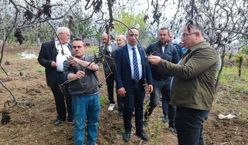 Solmaz: “Oğuzlar ve çevresi  doğal afet kapsamına alınmalı”