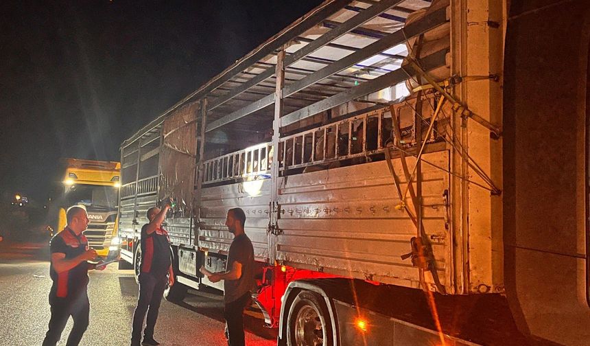 Hayvan sevkiyatlarına sıkı denetim