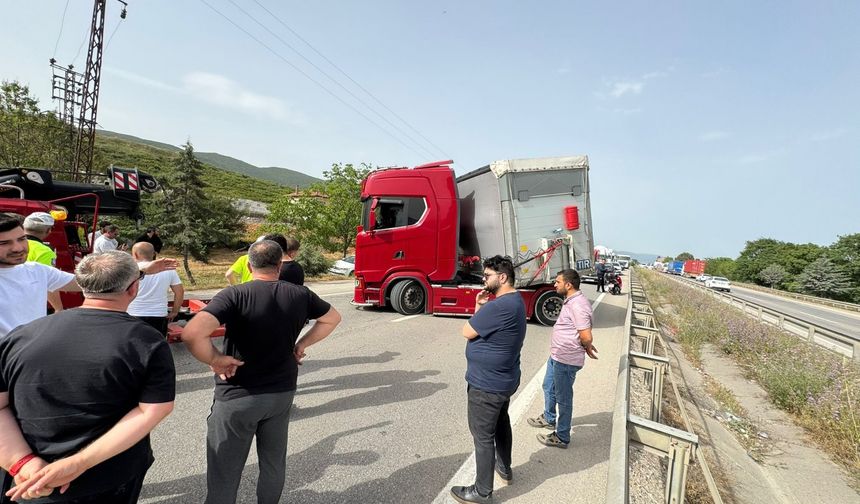 1 arı trafiği kilitledi