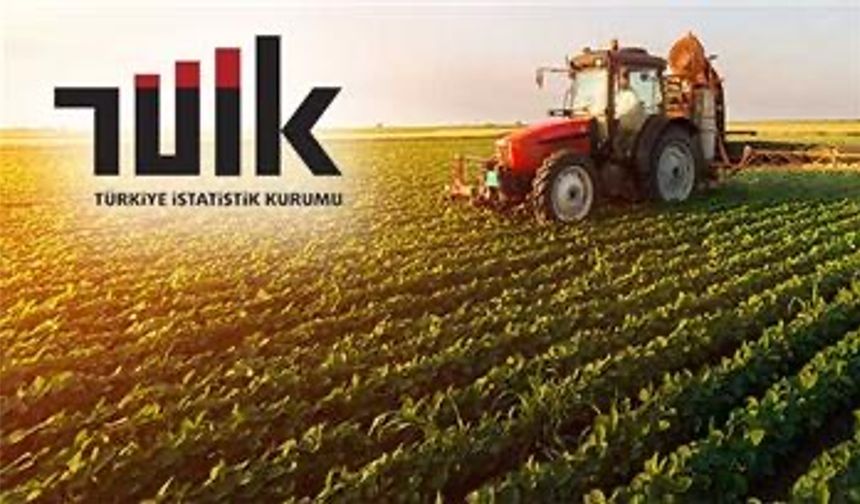 Tarım-ÜFE yıllık yüzde 27,50 arttı
