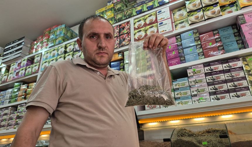Zayıflamak için canınızdan olmayın