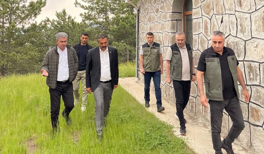 Beyoğlu Yaylası  mesire alanı oluyor