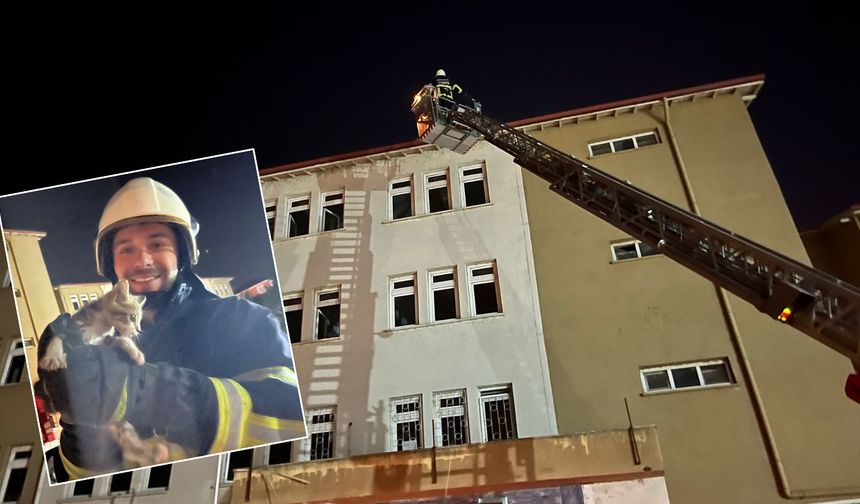 Okulun çatısında mahsur kalan yavru  kedi, itfaiye ekiplerince kurtarıldı