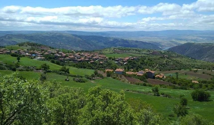 Çorum'un bu köyünde şenlik var!