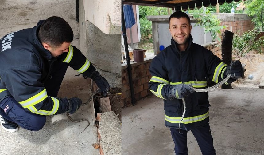 Eve giren yılan itfaiyeyi  seferber etti