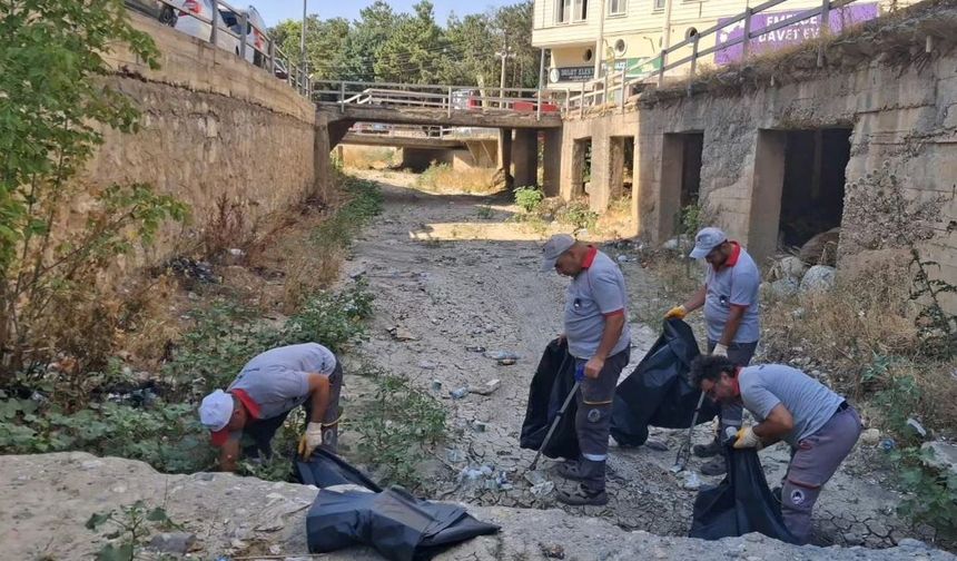 Diğ Çayı temizlendi