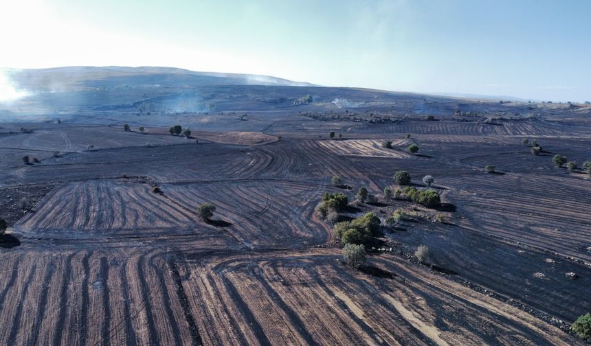Orman yangını söndürüldü
