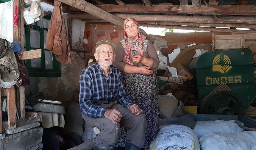 Ayılar köylünün kabusu oldu: Düzenekle ayı kovalıyorlar