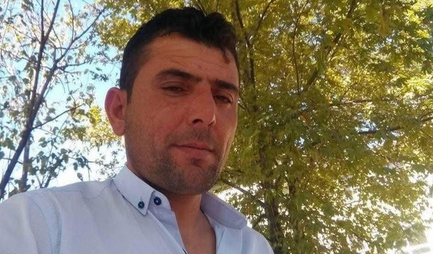 Üzerine ağaç devrilen genç, hayatını kaybetti