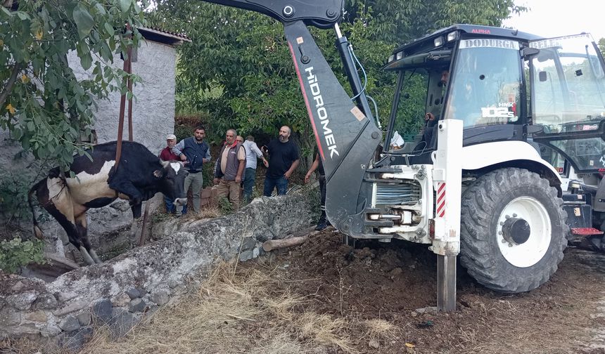 Çorum’da kuyuya düşen inek kurtarıldı