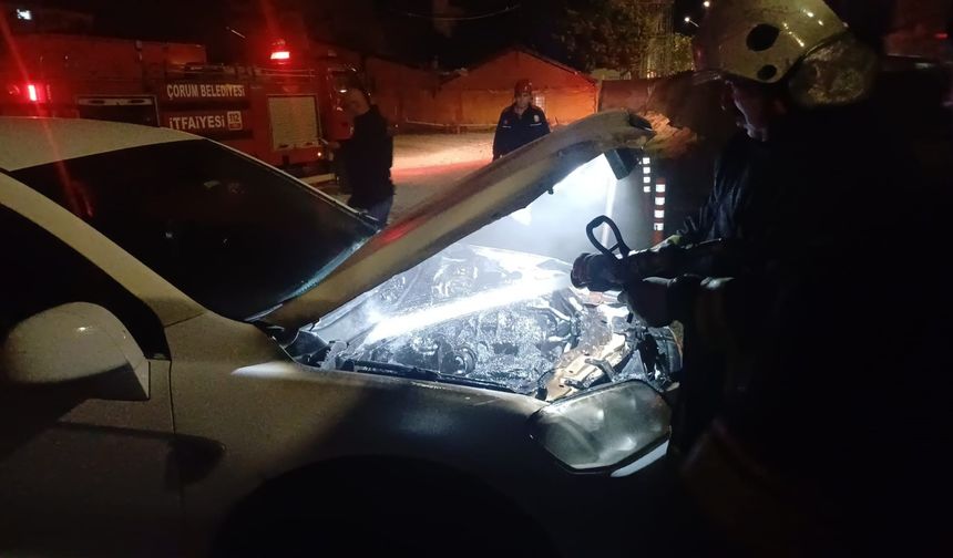 Park halindeki cipi küle  dönmekten itfaiye kurtardı