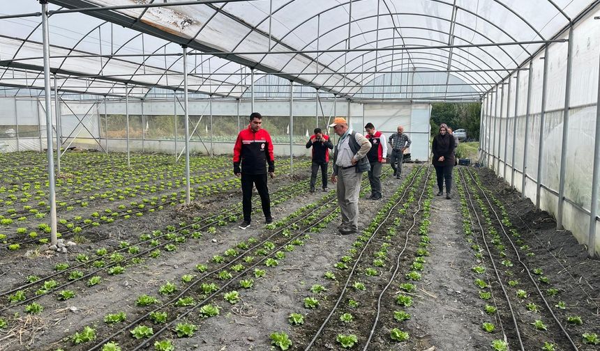 Kargı'da tarımsal üretim  alanları incelendi