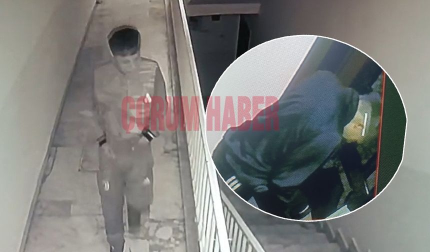 Apartman sakinlerini bıktırdı: Ayakkabı hırsızı kamerada