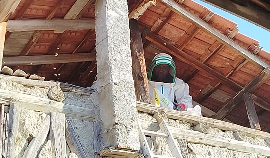 Evin çatısına yuva yapan  eşek arıları hastanelik etti