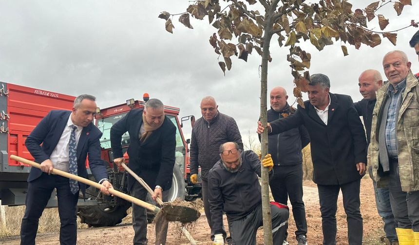 Eskiyapar’da fidan diktiler